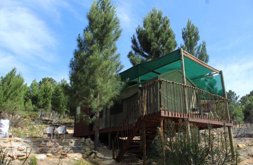 Caledon Other | Otium Oasis Glamping & Camping