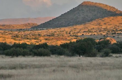 Kopanong Cabin | Otterskloof Private Game Reserve