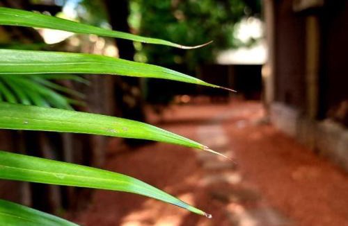 Lephalale House | Palm Inn Guesthouse