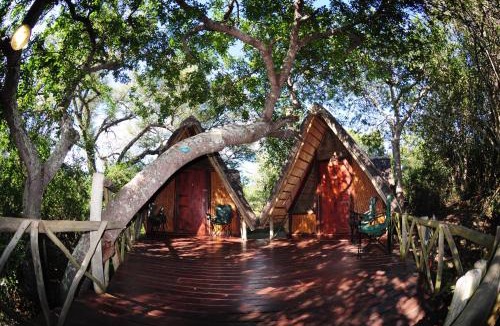 Thorny Bush Game Reserve Resort | Panzi Lodge