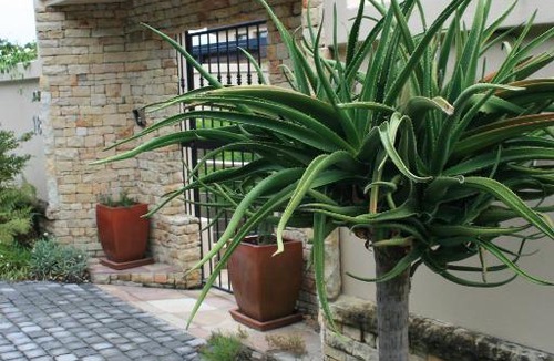 Paradise House | Paradise Home