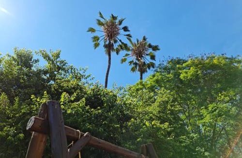 Ladysmith Bed & Breakfast | Peaches & Cream Bed & Breakfast