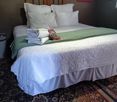 Vredefort House | Pecan Tree Parys
