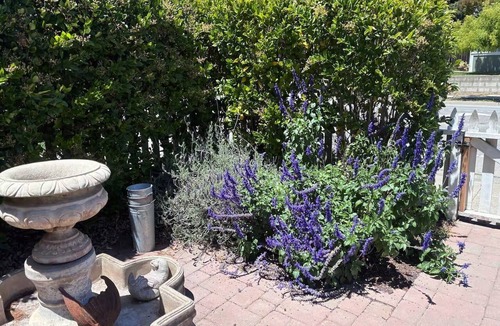 Petaluma House | Perfect 3 bedroom house with AC in awesome Petaluma neighborhood near downtown