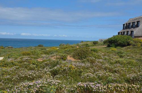 Still Bay Apartment | Pervinca al Mare
