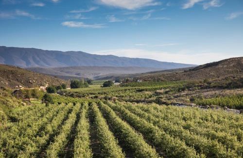 Barrydale House | Plaas Wegbreek