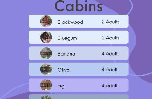 Buffalo Hills Game Reserve Hotel | Plett Forest Cabins