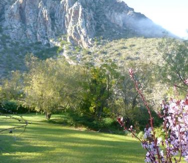 Villiersdorp House | Porcupine Hills Olive and Guest Farm