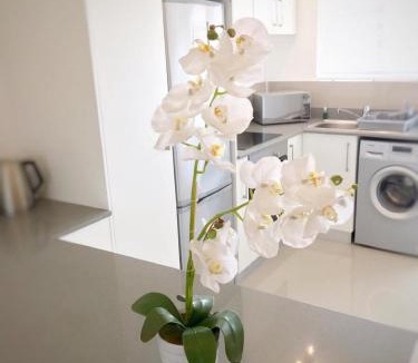 Green Point Apartment | Portswood Mews 14 by CTHA