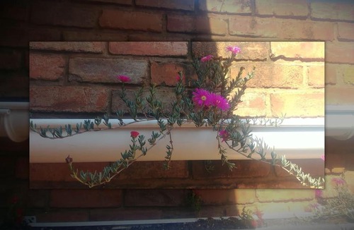 Pretoria Apartment | Pretoria Garden flat in Kilner Park