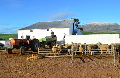 Swartland Resort | Private room ∙ 1 guest