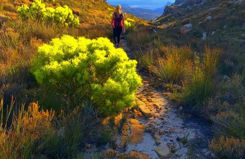 Cederberg Apartment | Protea Chalet