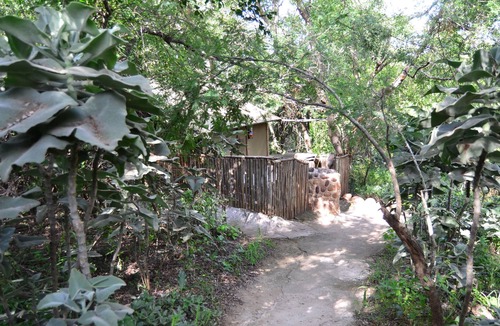 Thorny Bush Game Reserve House | Pure wilderness in Amanzimlotzi Riverside Bush Tent in Limpopo, Kruger Park