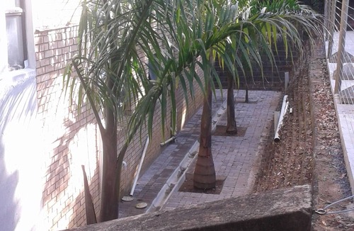 Ramsgate South House | Ramsgate Tropical Retreat