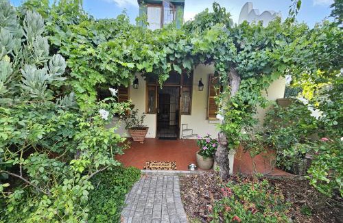 Rawsonville Bed & Breakfast | Rawsonville House