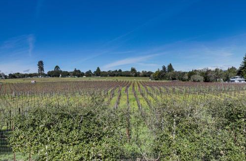Sebastopol Apartment | 'Red Barn Guest Cottage' Wine Country Escape