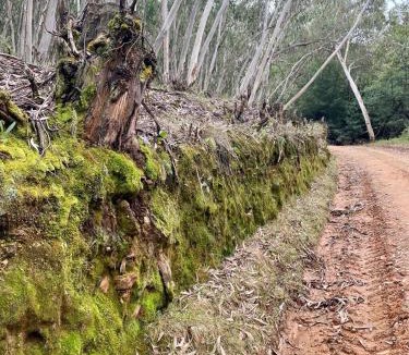 Kwa Sani House | REDVERSDALE- 4 x 4 Recommended