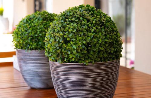 Modimolle Bed & Breakfast | Relmies Place