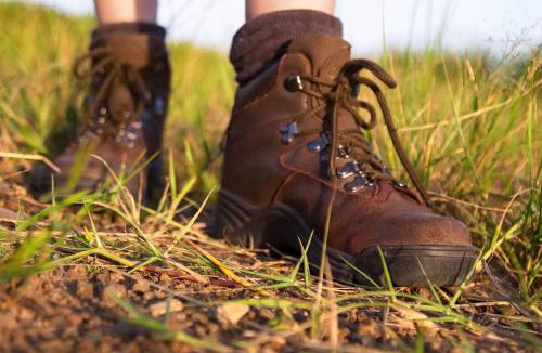 Kruger National Park House | Rhino Walking Safaris