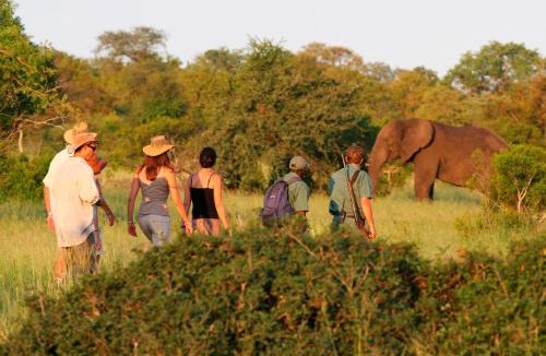 Kruger National Park House | Rhino Walking Safaris