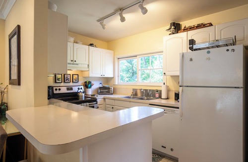 Northwood Cabin | Riverdale- w/seasonal dock/boats, hot tub, large yard, dog-friendly!