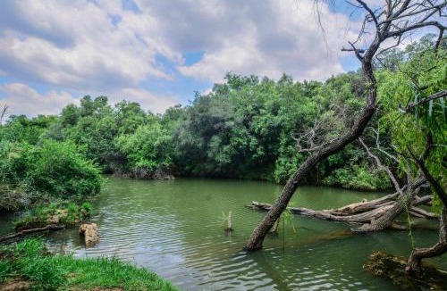 Ramotshere Moiloa Apartment | RiverStill Guest Farm