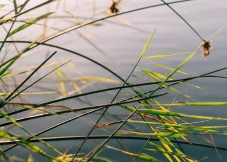 Port Beaufort House | Rivertime