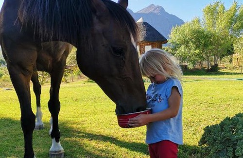 Tulbagh House | Riviera Cottage