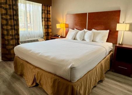 Martinez Hotel | Rodeway Inn Martinez