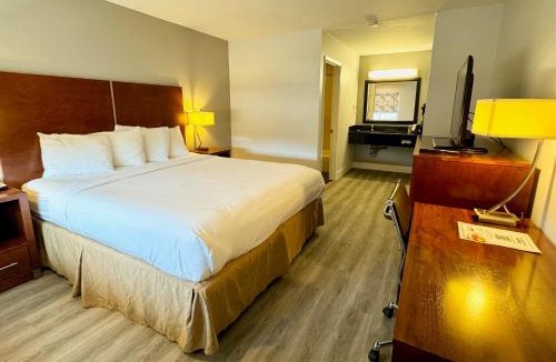 Martinez Hotel | Rodeway Inn Martinez