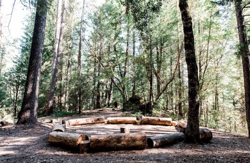 Cobb RV Rental | Romantic Tree House in a Towering Forest Trees near Pine Grove, California