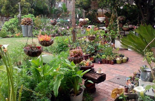 Flamingo Vlei House | Room 1 @ HOMESTAY ON BLOUBERG NATURE RESERVE