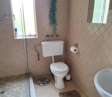 Boksburg House | Rooster Room