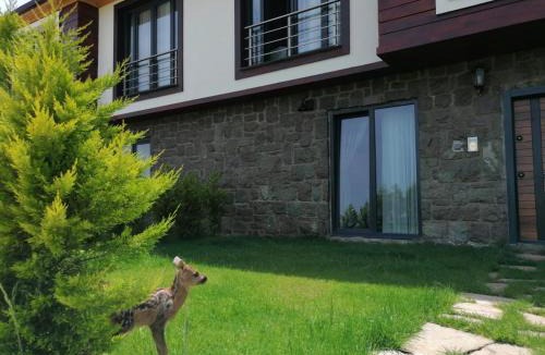 Arsin Villa | Royal Villa