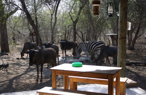 Marloth Park Cottage | Sadadu holiday house bordering Kruger National Park, Free wifi