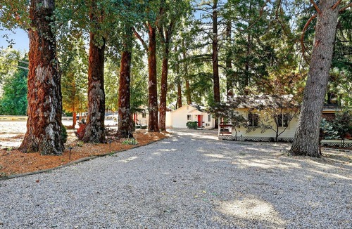 Cobb Cabin | Secluded Dog Friendly Cabin in Wine Country Cobb California