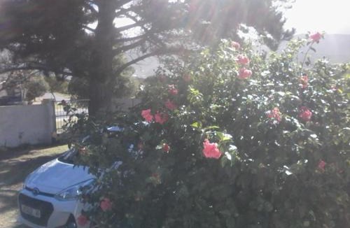 Sandbaai House | Self Catering Unit 6, Sandbaai