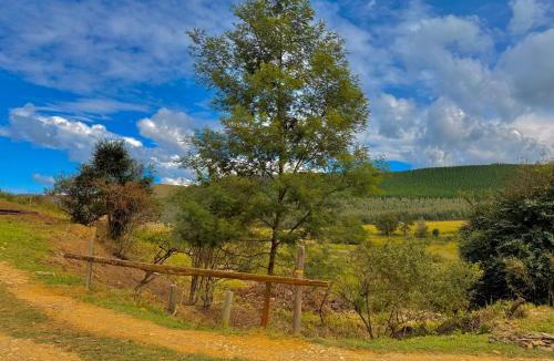 Merrivale Ski Chalet | Serendipity Guest Farm Byrne