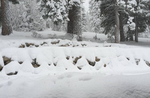 Truckee House | Shangri-Lodge: Perfect For Two Families with access to Tahoe Donner Amenities