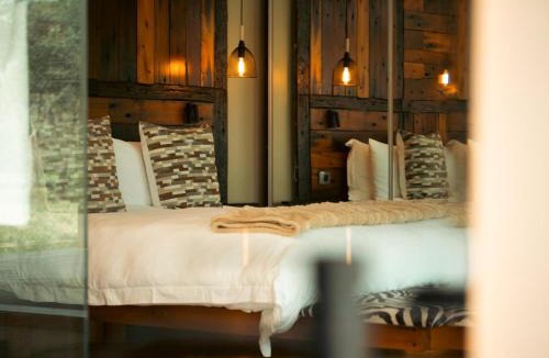 Behoudeniskloof Cabin | Shekinah Lion & Game Lodge