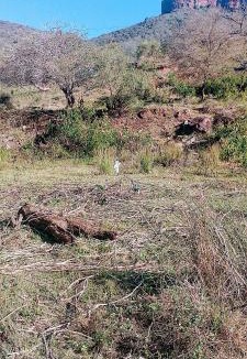 Mkhambathini Other | Sheriff's Campsite