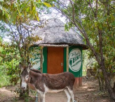 Thorny Bush Game Reserve Other | Shik Shack Backpackers