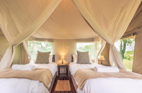 Thorny Bush Game Reserve Other | Shindzela Tented Camp