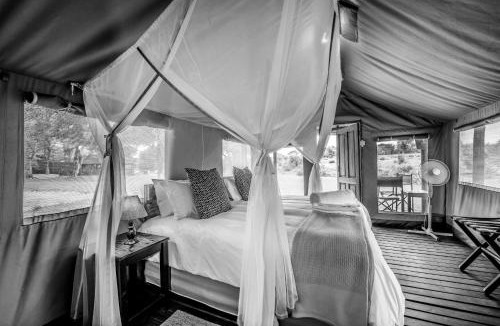 Thorny Bush Game Reserve Other | Shindzela Tented Camp