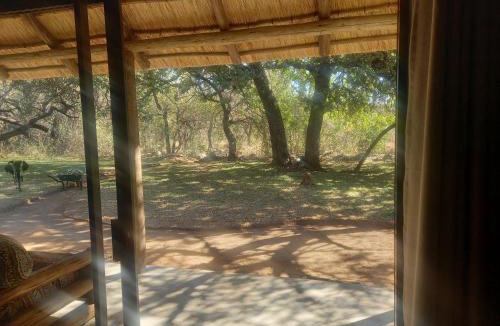 Hoedspruit Cabin | Shumba Safari Bush Camp