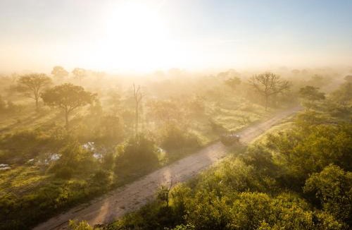 Thorny Bush Game Reserve Cabin | Shumbalala Game Lodge