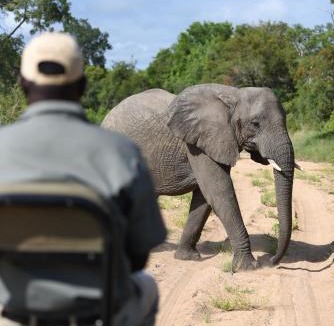 Thorny Bush Game Reserve Cabin | Shumbalala Game Lodge