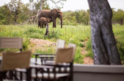 Kruger National Park Cabin | Simbavati Amani