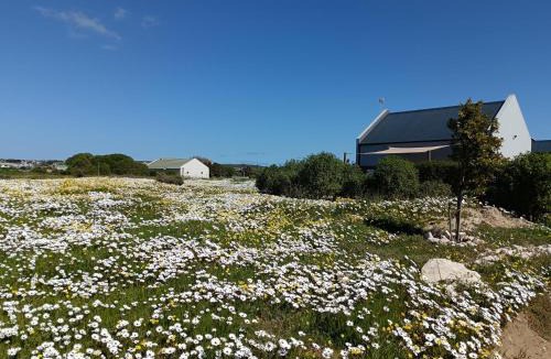 Langebaan House | Silver Oaks Airbnb