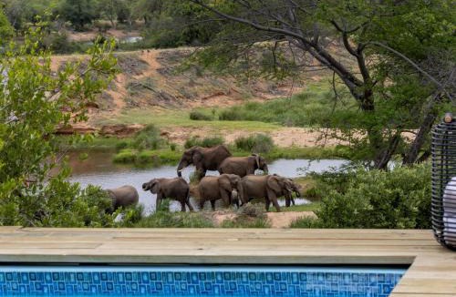 Thorny Bush Game Reserve Apartment | Simbavati Mvubu Cottage